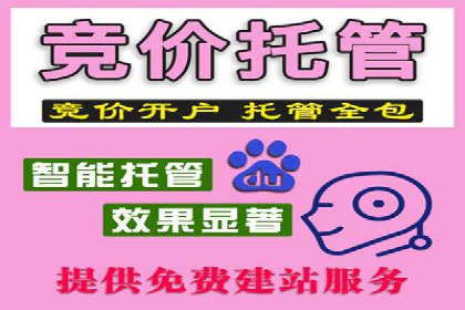 SEM竞价培训：经典案例分析与启示